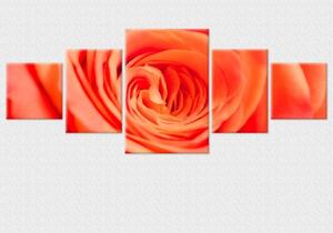 Set tablou fosforescent Trandafir culoarea piersicii