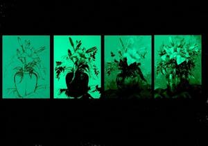 Set tablou fosforescent Lectia de pictura in 4 pasi - Flori