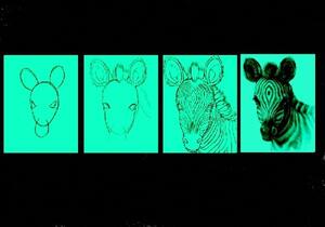 Set tablou fosforescent Lectia de pictura in 4 pasi - Zebra