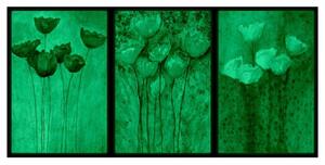 Set tablou 3 piese fosforescent Trei culori