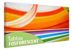 Tablou fosforescent Curcubeu abstract