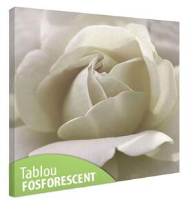 Tablou fosforescent Trandafir alb
