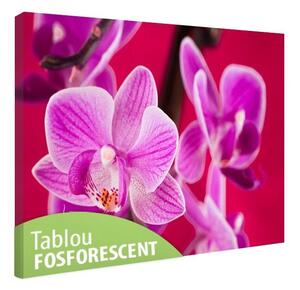 Tablou fosforescent Orhidee violet