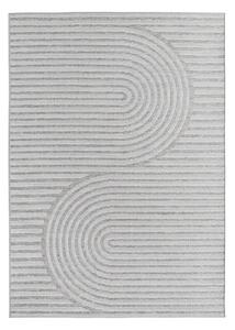 Covor pentru exterior și interior gri 200x290 cm Desert 1301 – Ayyildiz Carpets
