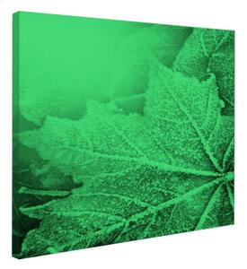 Tablou fosforescent Frunze textura de iarna