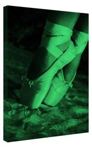 Tablou fosforescent Pantofi de balet