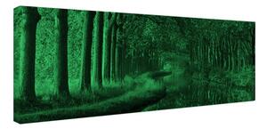 Tablou fosforescent Tunel de copaci