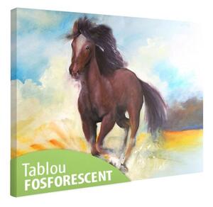 Tablou fosforescent Cal in galop