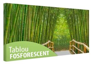 Tablou fosforescent Alee cu bambusi