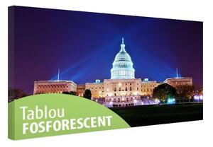 Tablou fosforescent Washington DC