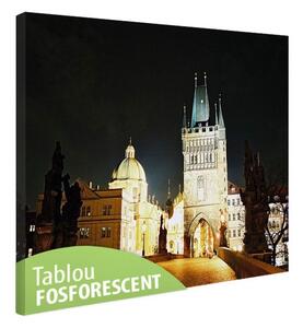 Tablou fosforescent Praga