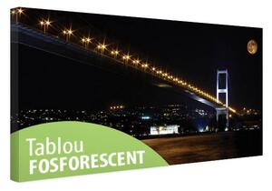 Tablou fosforescent Podul Bosfor