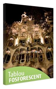 Tablou fosforescent Opera lui Gaudi