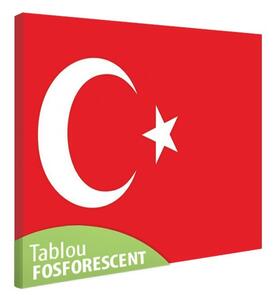 Tablou fosforescent Steag Turcia