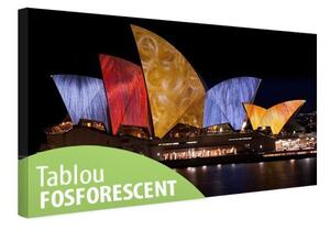 Tablou fosforescent Opera din Sydney