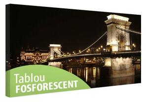 Tablou fosforescent Budapesta Pod