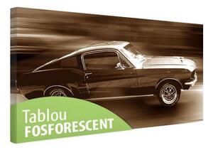 Tablou fosforescent Ford Mustang