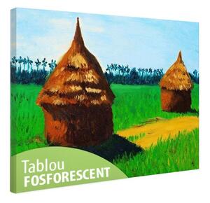 Tablou fosforescent Paie