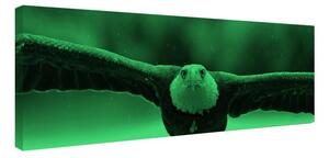 Tablou fosforescent﻿ Vultur