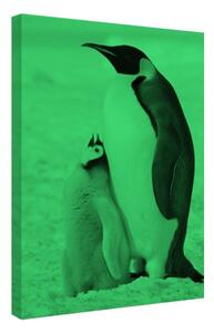 Tablou fosforescent Pinguini