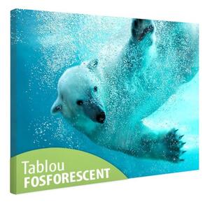 Tablou fosforescent Urs polar