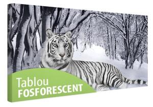 Tablou canvas fosforescent Tigru alb