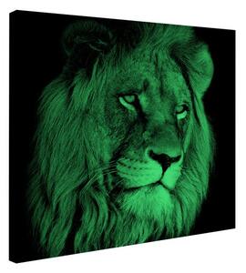 Tablou fosforescent canvas Lion Head
