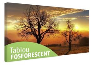 Tablou canvas fosforescent Trees in the sunset, 80x40 cm