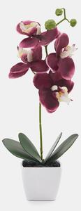 Sinsay - Plantă artificială decorativă - violet-orhidee