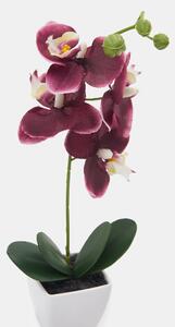 Sinsay - Plantă artificială decorativă - violet-orhidee