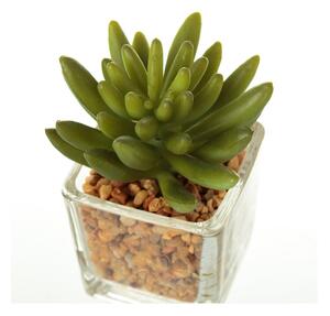 Plante artificiale 6 buc. (înălțime 8 cm) Cactus – Casa Selección