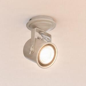 Argon Spot de tavan Canico, 1 bec, crem, Bej, Camera de zi / sufragerie, Metal, Modern