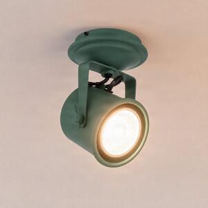 Argon Spot de tavan Canico, 1 bec, verde, Verde, Camera de zi / sufragerie, Metal, Modern
