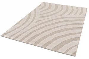 Covor Sufragerie Dormitor, Model Delia 40407 051 Dreptunghiular,Bej 120 x 170, Dreptunghi