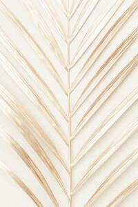 Fotografie Golden Palm Leaf, Studio Collection