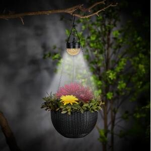 Lampă solară LED cu ghiveci, 1,2 V, 400 mAh, IP44, negru