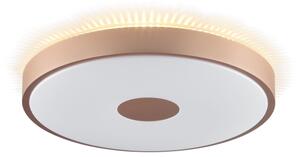 Brilliant - Plafonieră LED TAVIS LED/24W/230V diam. 44,5 cm aur roz