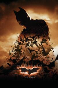 Poster de artă The Dark Knight Trilogy - Bats, (26.7 x 40 cm)