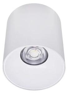 Proiector LED, Sina Magnetica Aplicata Slim, Lumina Neutra, 8W, Alb, Model MS30-DR54