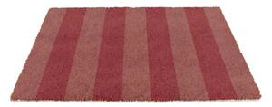 Covoraș de intrare din fibre de nucă de cocos 40x60 cm Pink Stripe – Artsy Doormats