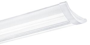 THORN Thorn IQ Wave plafonieră LED 114 cm 4.000 K, reglabil, Alb, Plastic