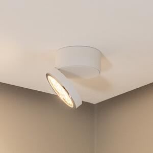 BEGA Bega LED spot de plafon 51312.1, alb, metal DALI pivotant, reglabil, Alb, Camera de zi / sufragerie, Aluminiu, Modern, Spot de perete