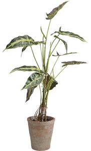 Planta artificiala decorativa Alocasia 80 cm