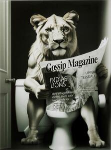 Tablou de sticla Bath Lioness 60x80 cm