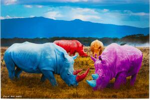 Tablou de sticla Rhino Multicolor 120x80 cm