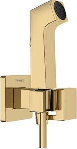 Hansgrohe Bidette set baterie bideu perete auriu 29231990