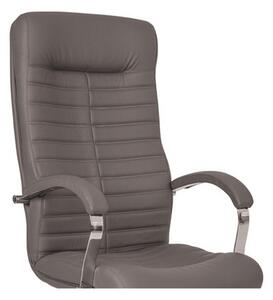 Set 2 scaune directoriale SENNA, piele ecologica, Gri
