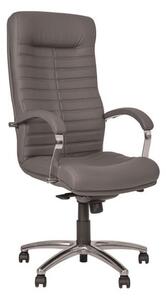 Set 2 scaune directoriale SENNA, piele ecologica, Gri