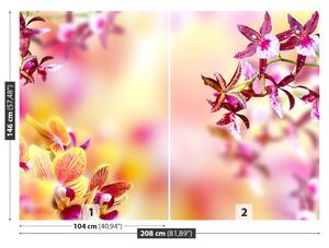 Fototapet Orhidee roz