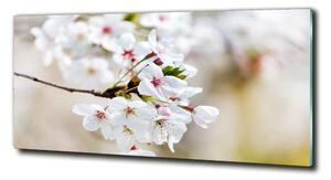 Tablou sticlă flori de cireș